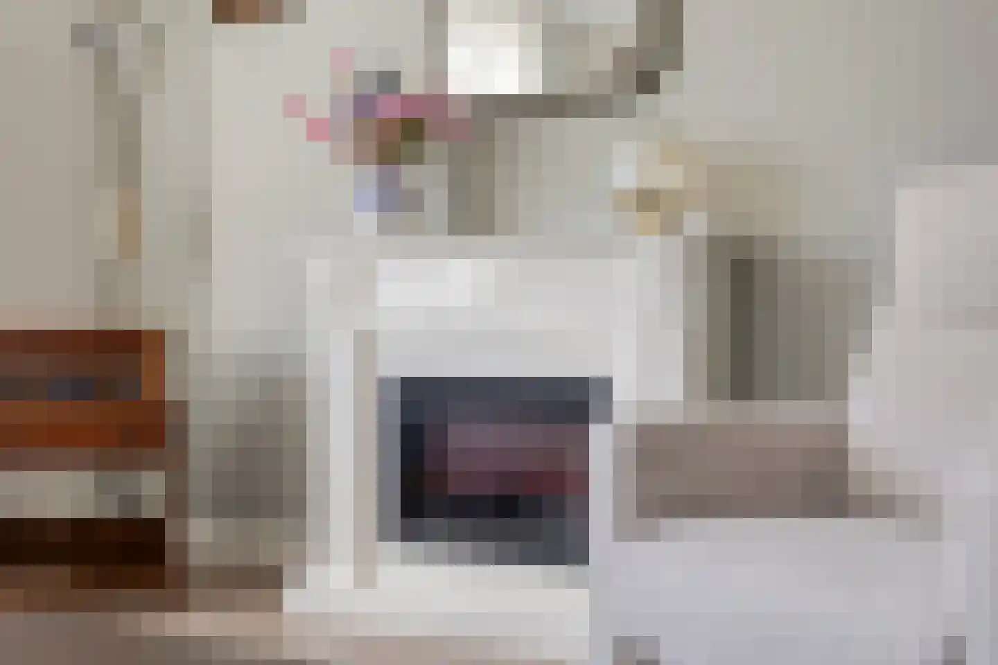 Julianastraat 13 E Berghem thumbnail 8