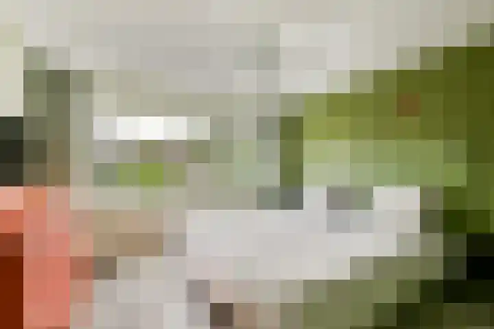 Julianastraat 13 Rhoon thumbnail 13