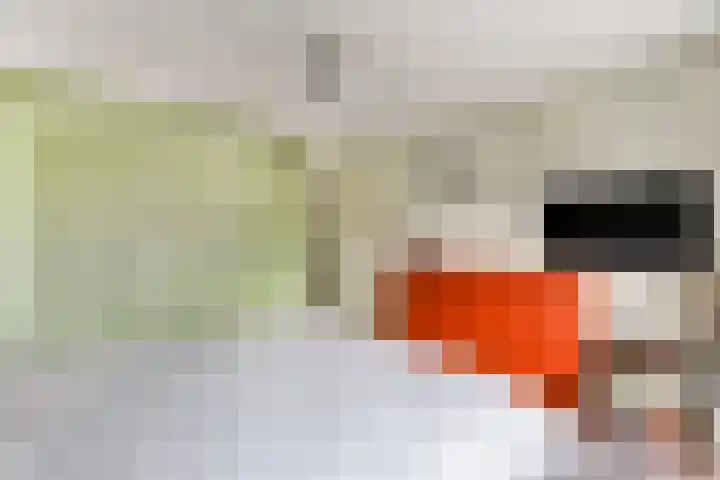Julianastraat 13 Rhoon thumbnail 14