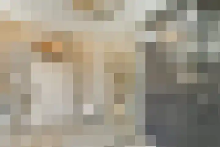Julianastraat 13 Rhoon thumbnail 15