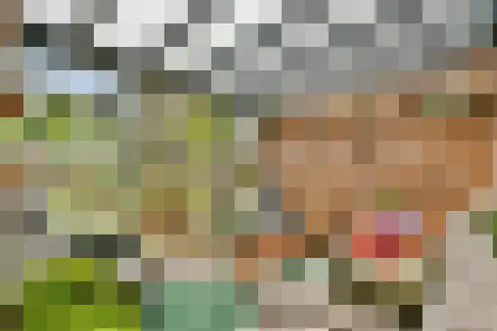 Julianastraat 13 Rhoon thumbnail 22