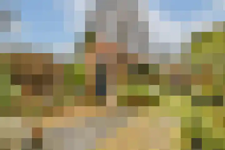 Julianastraat 13 Rhoon thumbnail 23