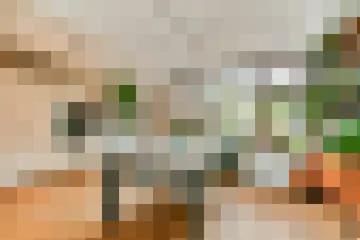 Julianastraat 13 Rhoon thumbnail 4