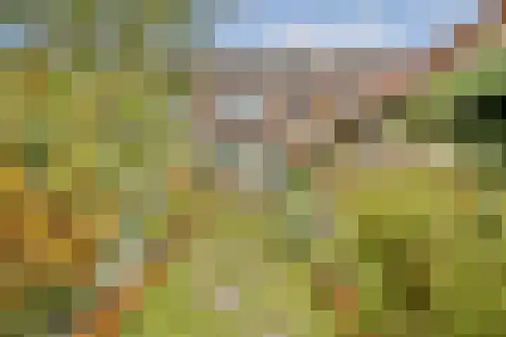 Julianastraat 13 Rhoon thumbnail 5
