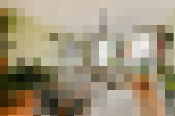 Julianastraat 13 Rhoon thumbnail 6