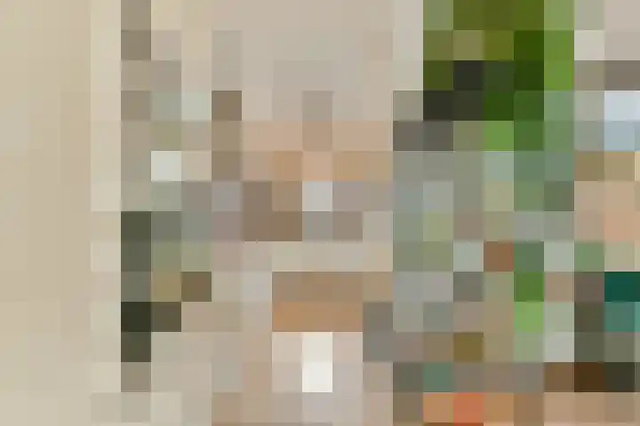 Julianastraat 13 Rhoon thumbnail 7