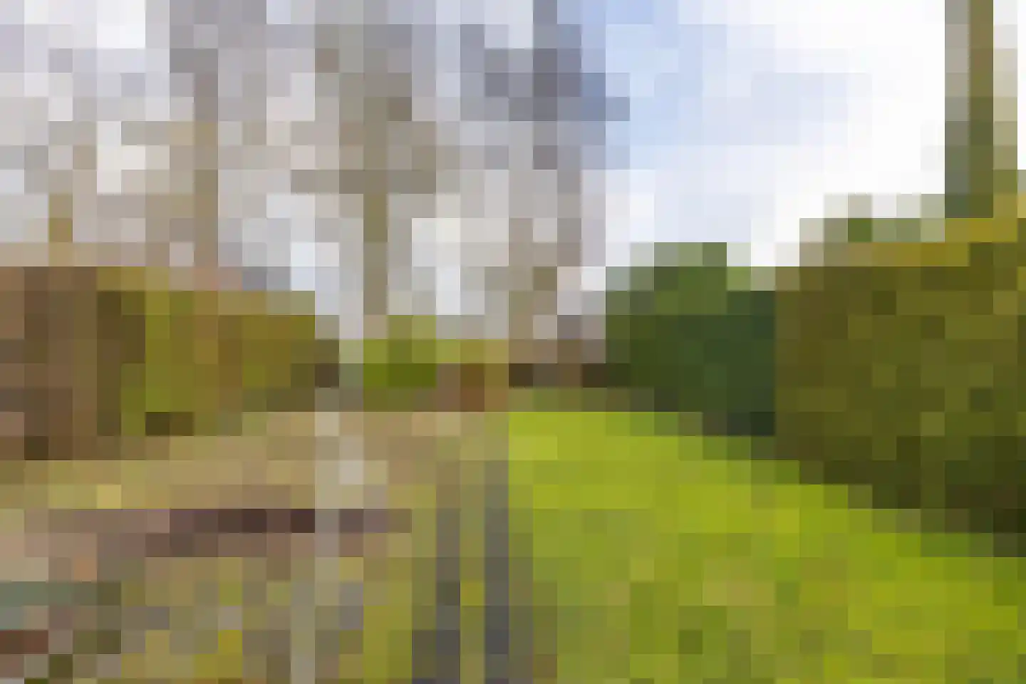 Julianastraat 134 Hoogezand thumbnail 43