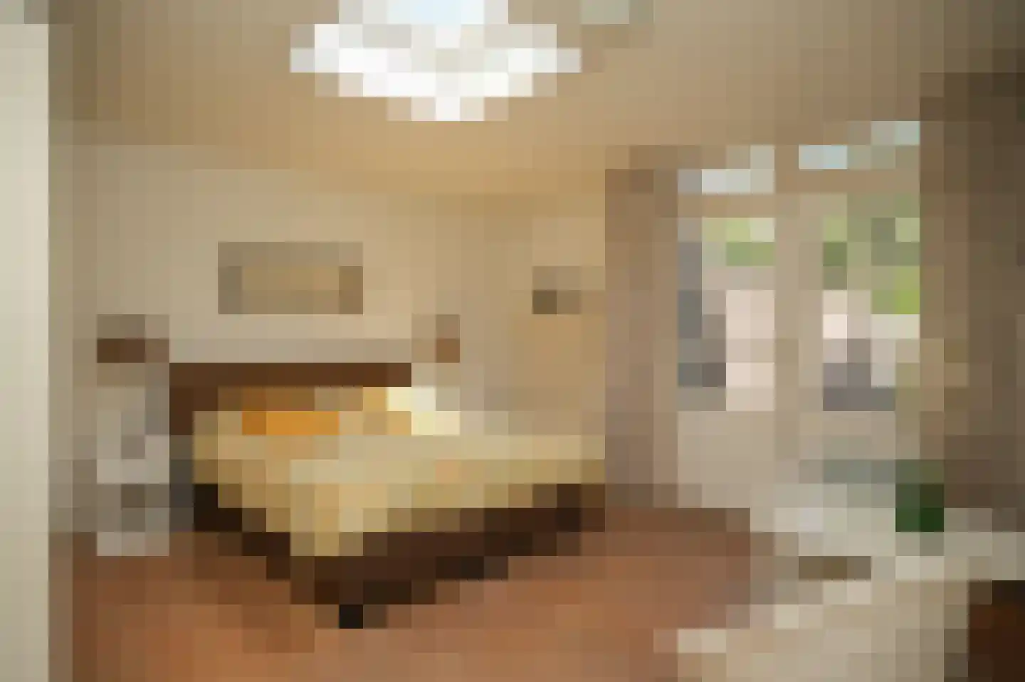 Julianastraat 14 a Kerkdriel thumbnail 26
