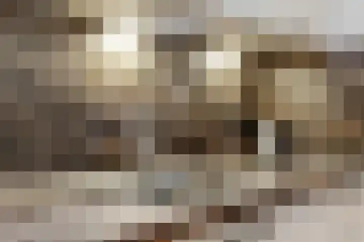 Julianastraat 14 Beneden-Leeuwen thumbnail 12