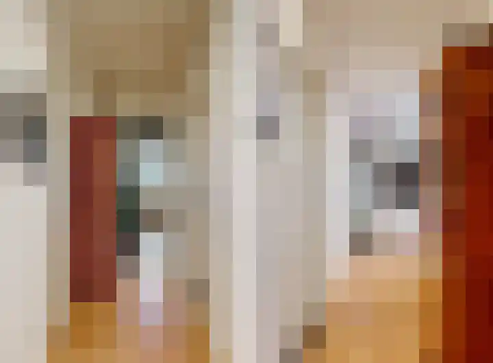 Julianastraat 14 Beneden-Leeuwen thumbnail 13