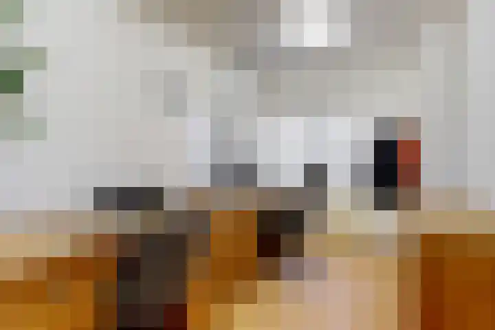 Julianastraat 14 Beneden-Leeuwen thumbnail 15