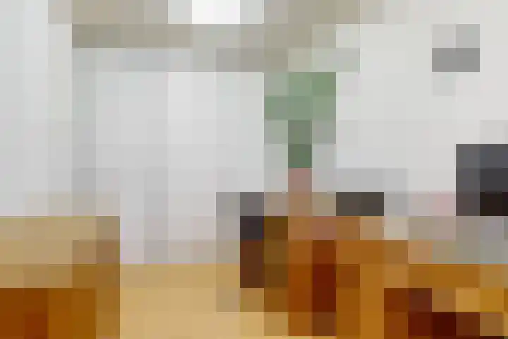 Julianastraat 14 Beneden-Leeuwen thumbnail 16