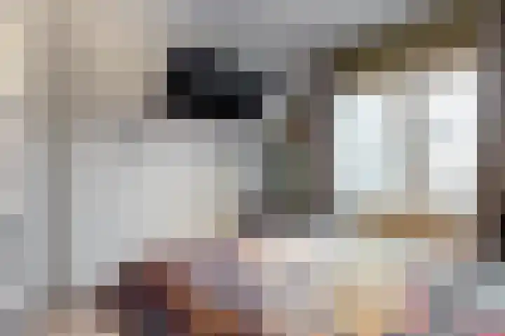 Julianastraat 14 Beneden-Leeuwen thumbnail 21