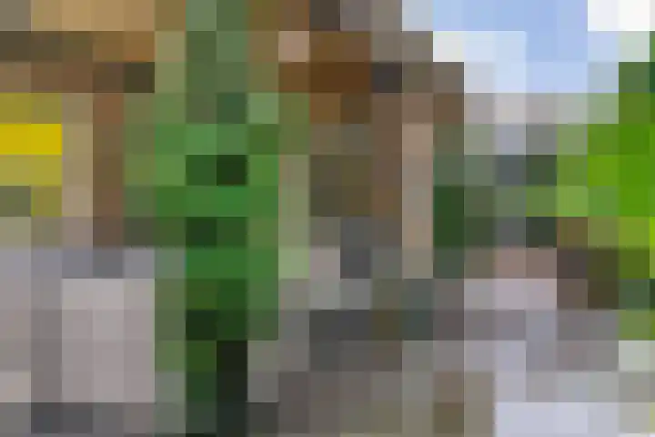 Julianastraat 14 Beneden-Leeuwen thumbnail 30