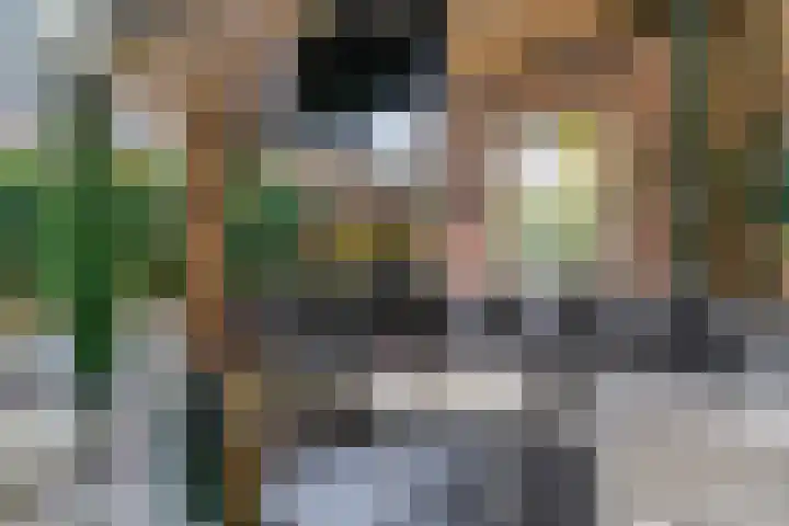 Julianastraat 14 Beneden-Leeuwen thumbnail 31