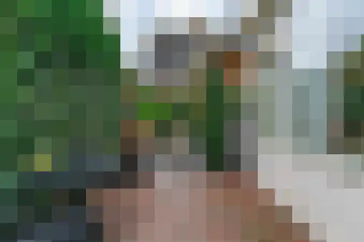 Julianastraat 14 Beneden-Leeuwen thumbnail 32