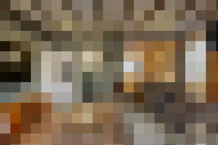 Julianastraat 14 Beneden-Leeuwen thumbnail 5