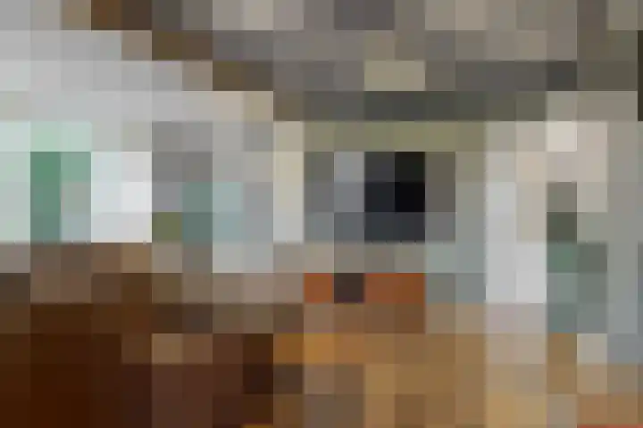 Julianastraat 14 Beneden-Leeuwen thumbnail 7
