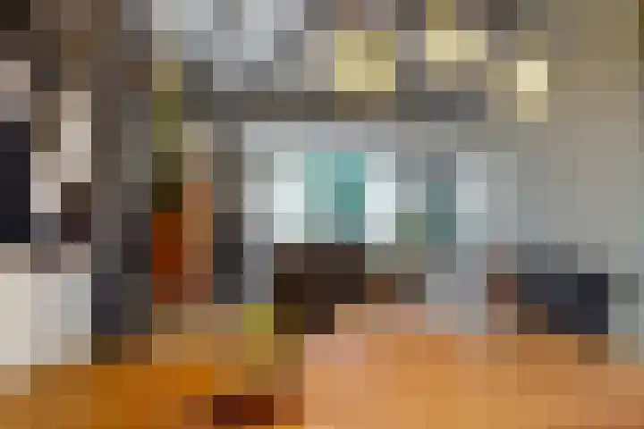 Julianastraat 14 Beneden-Leeuwen thumbnail 8