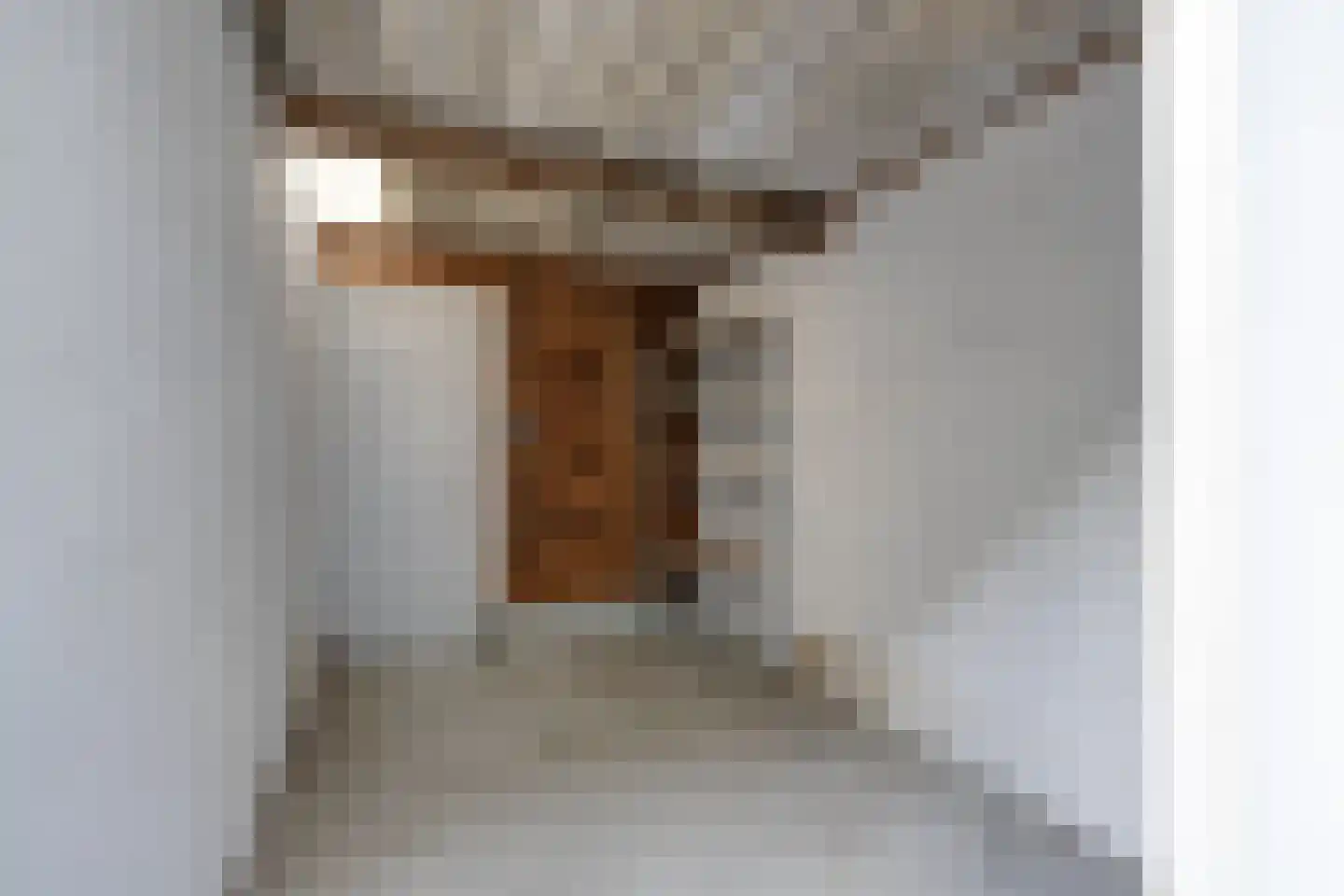 Julianastraat 14 Purmerend thumbnail 32