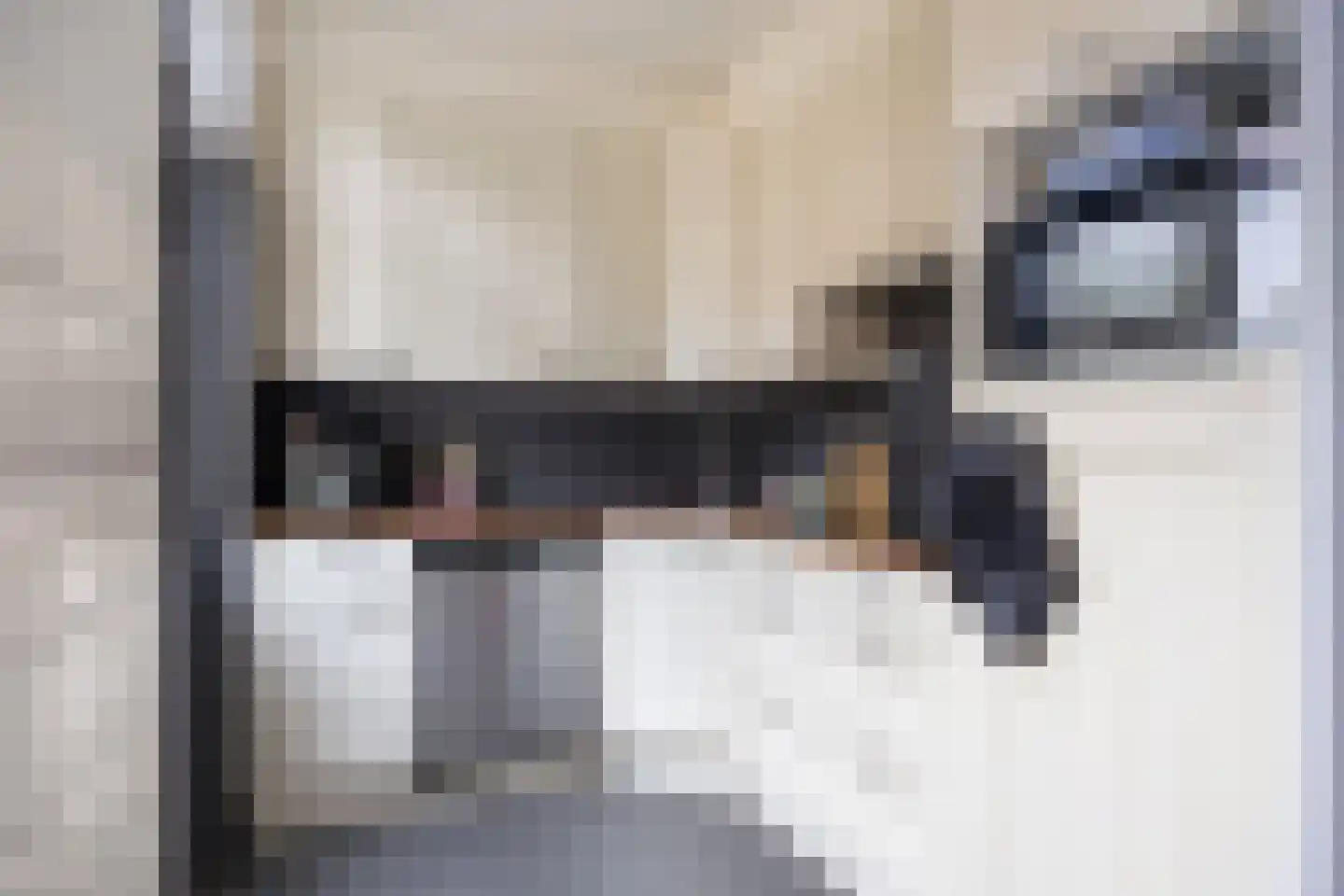 Julianastraat 14 Son en Breugel thumbnail 13