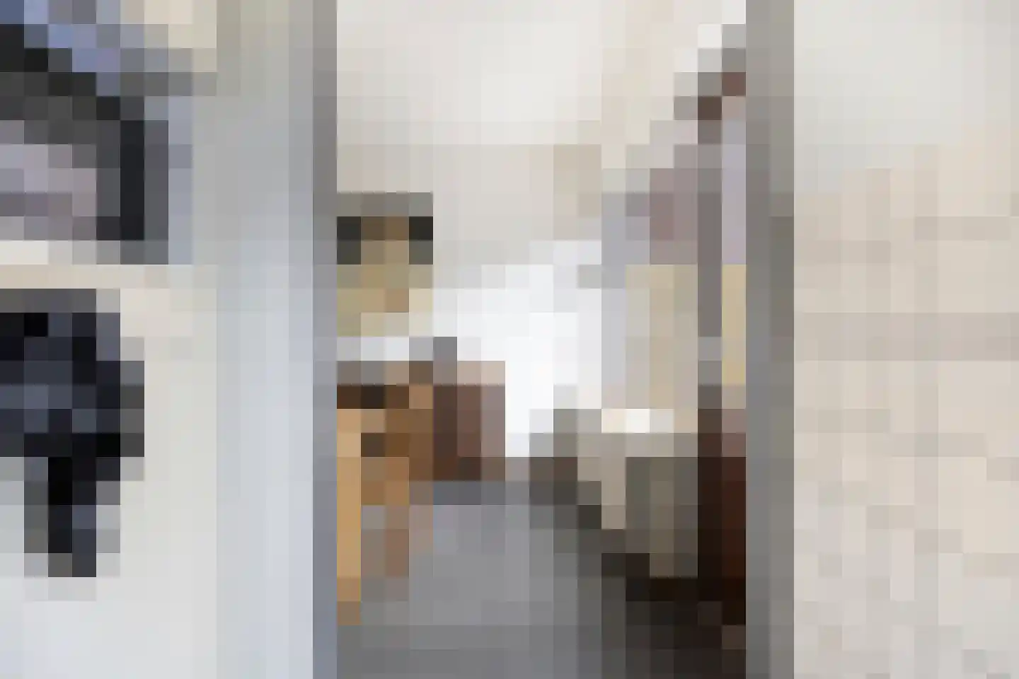 Julianastraat 14 Son en Breugel thumbnail 14