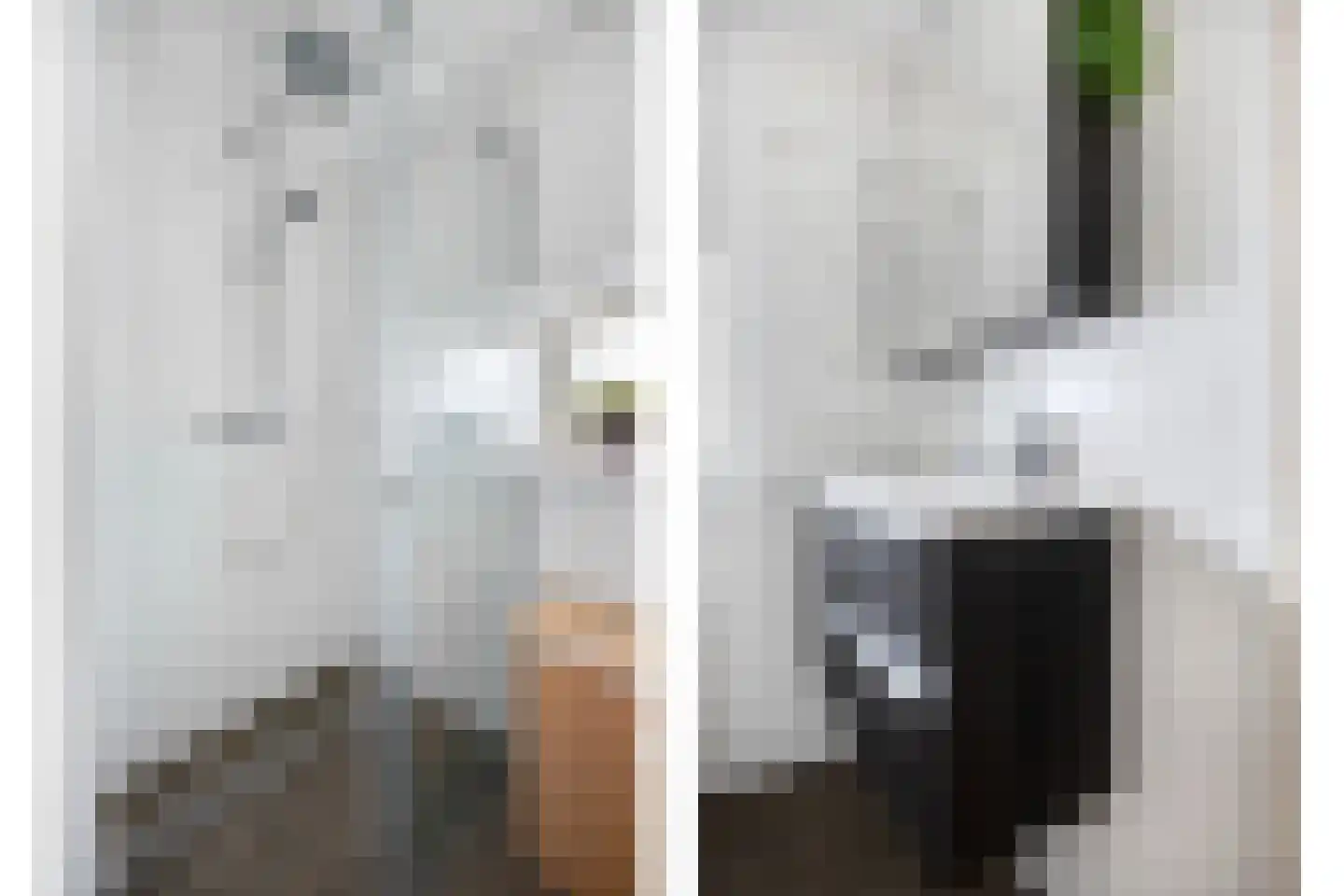Julianastraat 14 Son en Breugel thumbnail 23