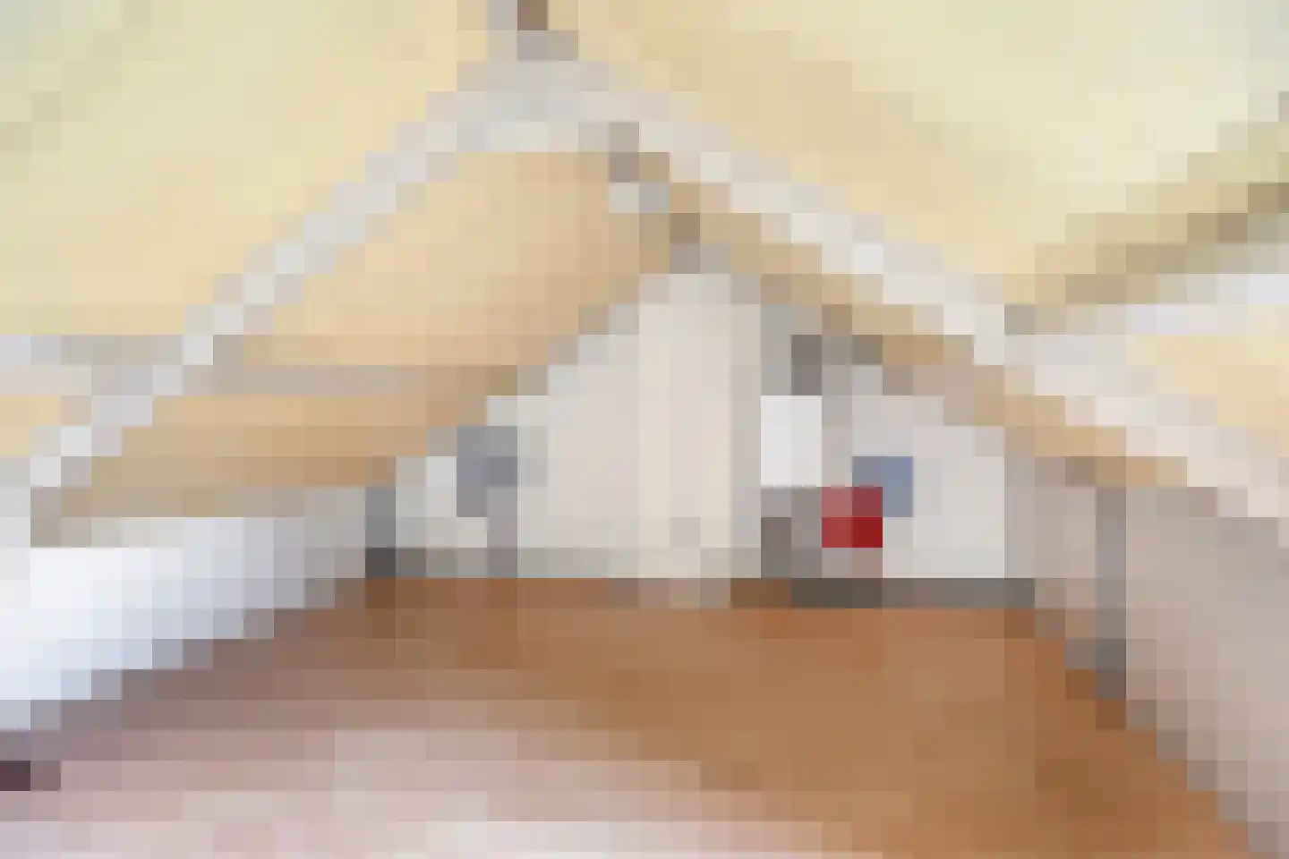 Julianastraat 14 Son en Breugel thumbnail 27
