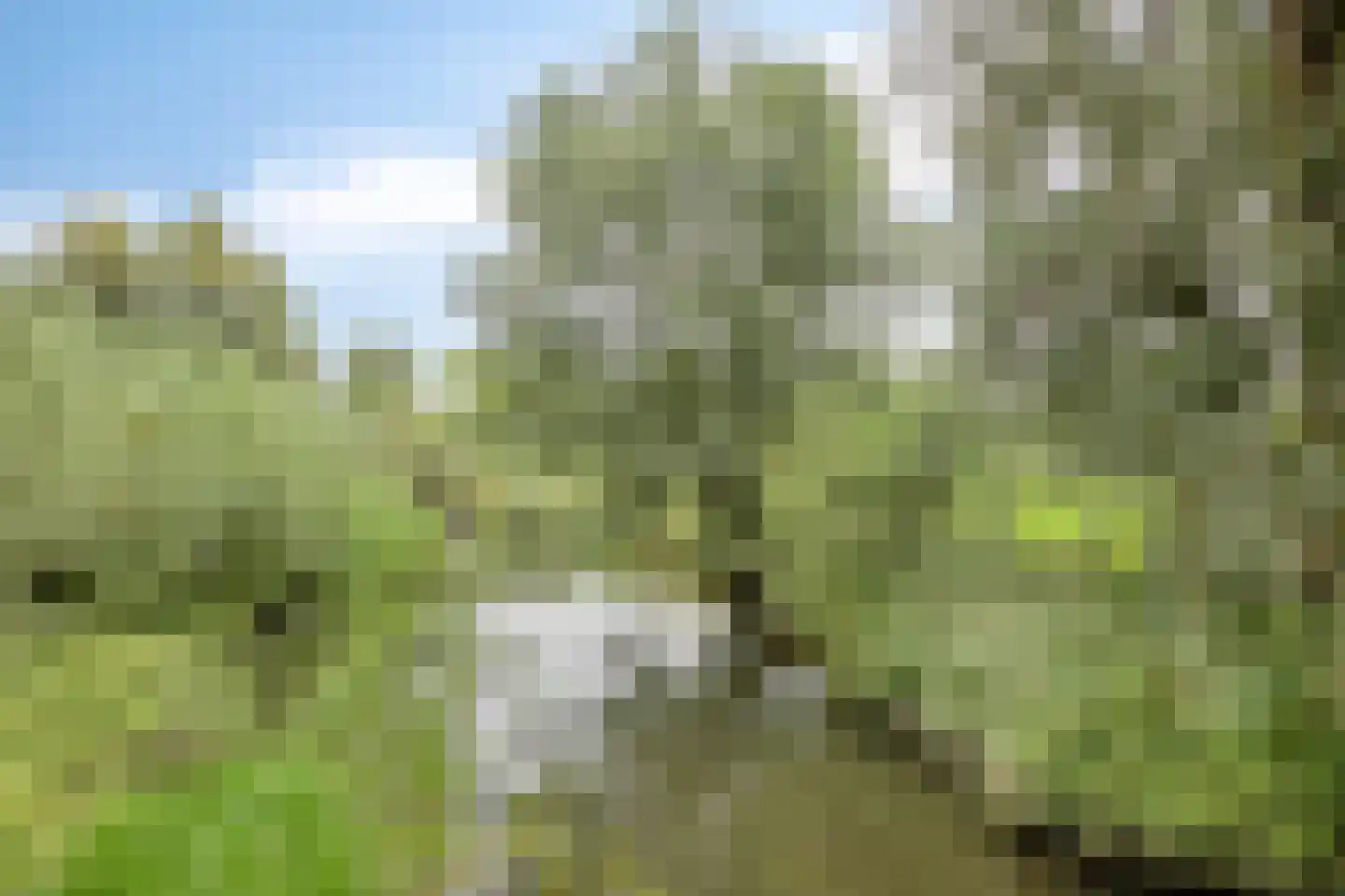 Julianastraat 14 Son en Breugel thumbnail 35