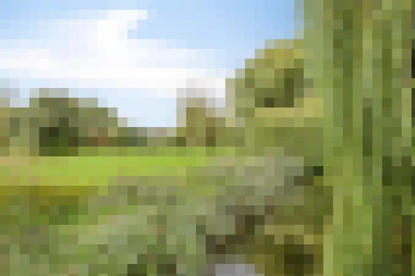 Julianastraat 14 Son en Breugel thumbnail 36