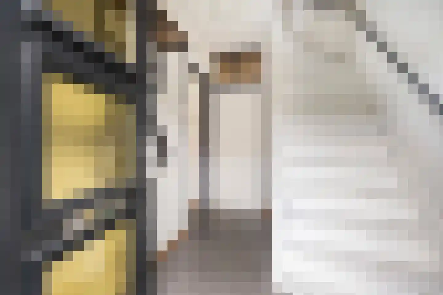 Julianastraat 14 Son en Breugel thumbnail 6