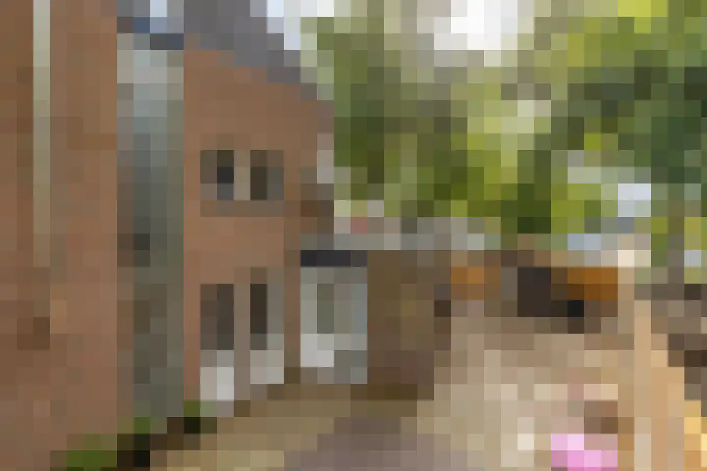 Julianastraat 14 Stadskanaal thumbnail 40
