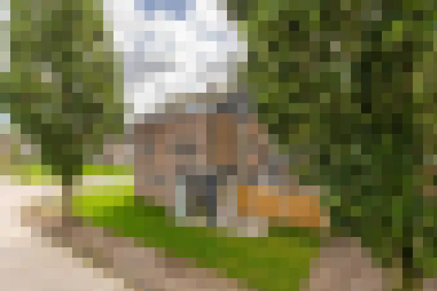 Julianastraat 14 Stadskanaal thumbnail 5