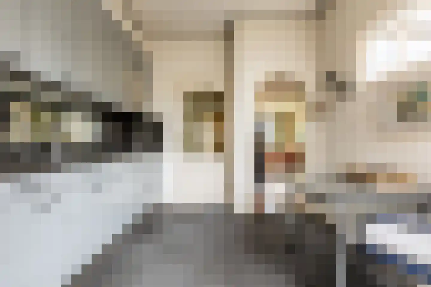Julianastraat 14 Waddinxveen thumbnail 15