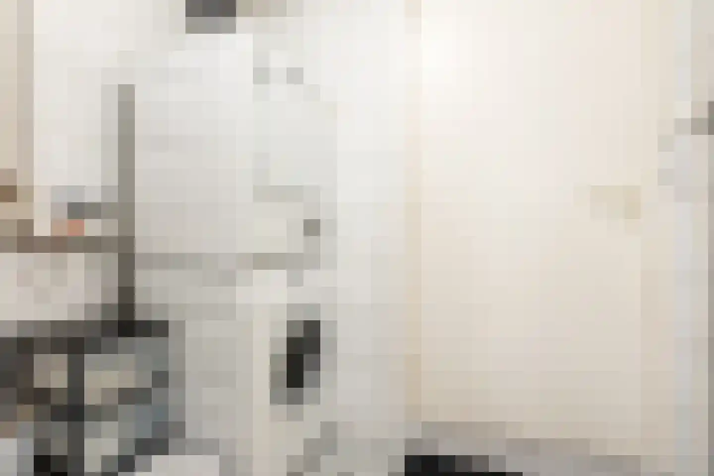 Julianastraat 14 Waddinxveen thumbnail 16