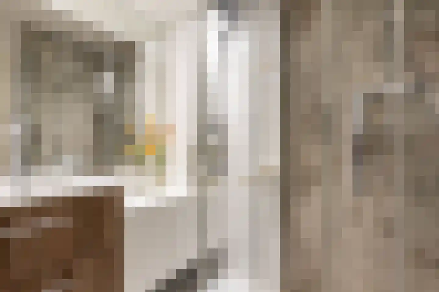 Julianastraat 14 Waddinxveen thumbnail 17