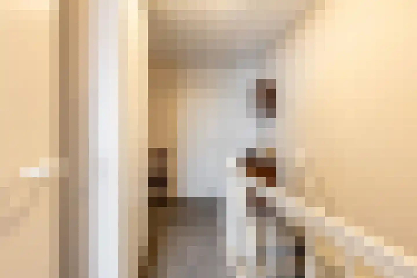 Julianastraat 14 Waddinxveen thumbnail 18
