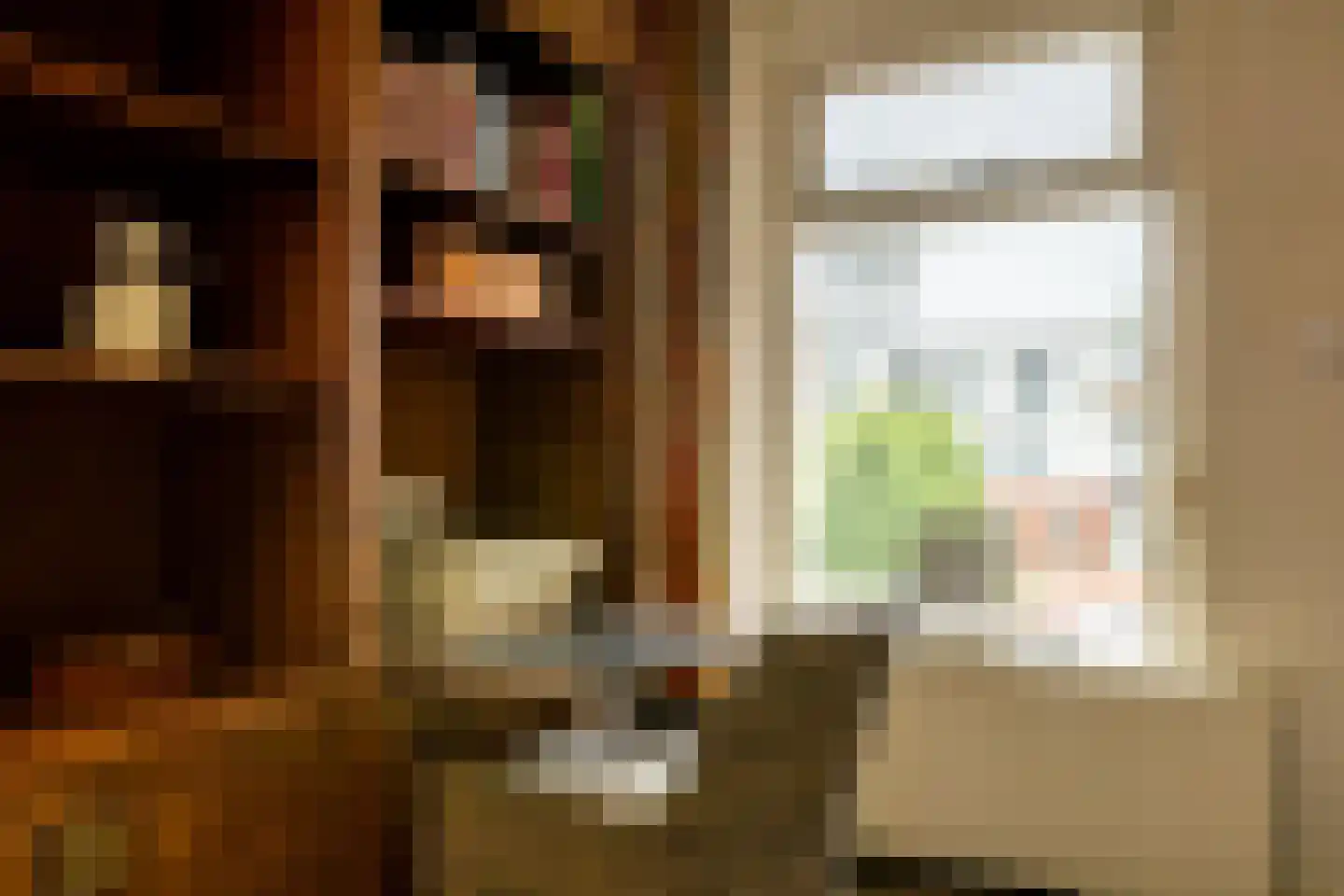 Julianastraat 14 Waddinxveen thumbnail 24