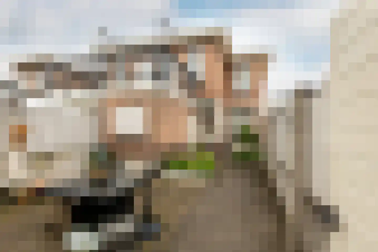Julianastraat 14 Waddinxveen thumbnail 32