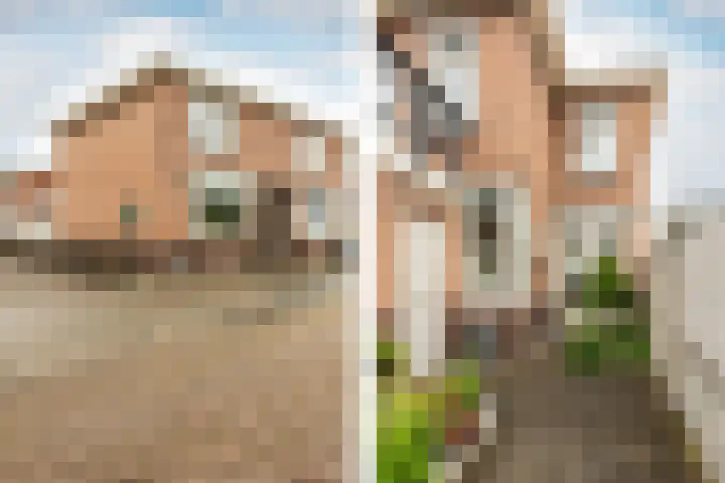 Julianastraat 14 Waddinxveen thumbnail 33