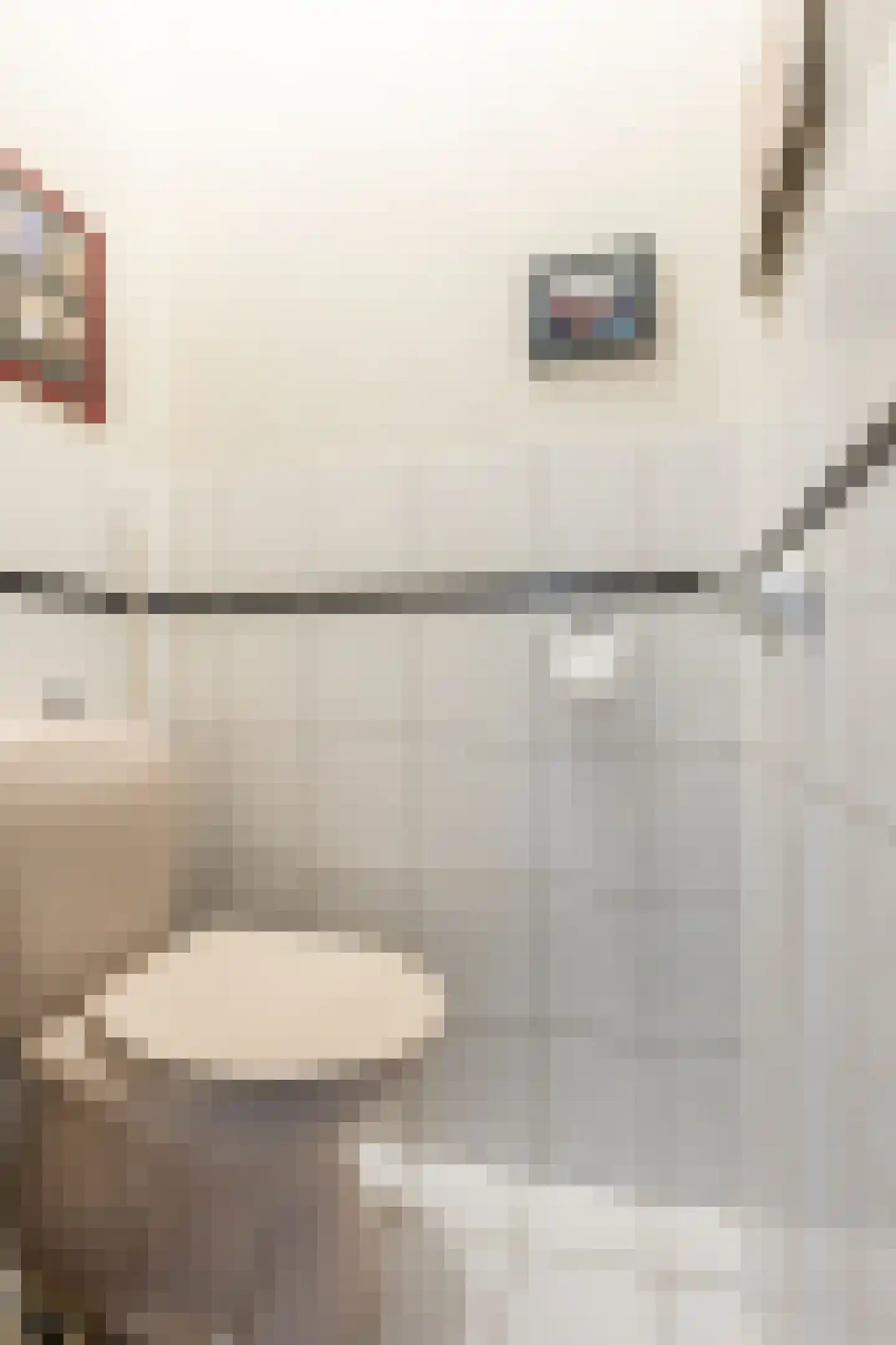 Julianastraat 14 Waddinxveen thumbnail 8