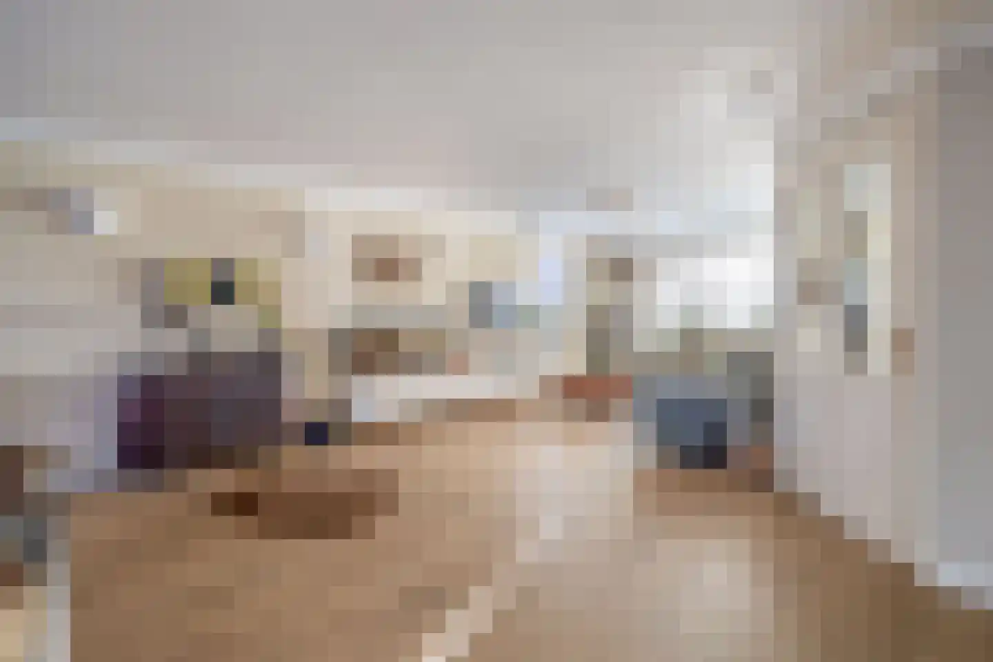 Julianastraat 144 Lisse thumbnail 12