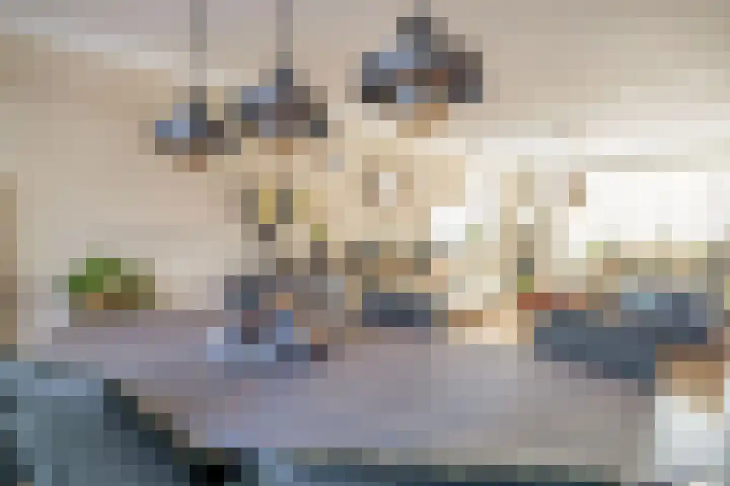 Julianastraat 144 Lisse thumbnail 14