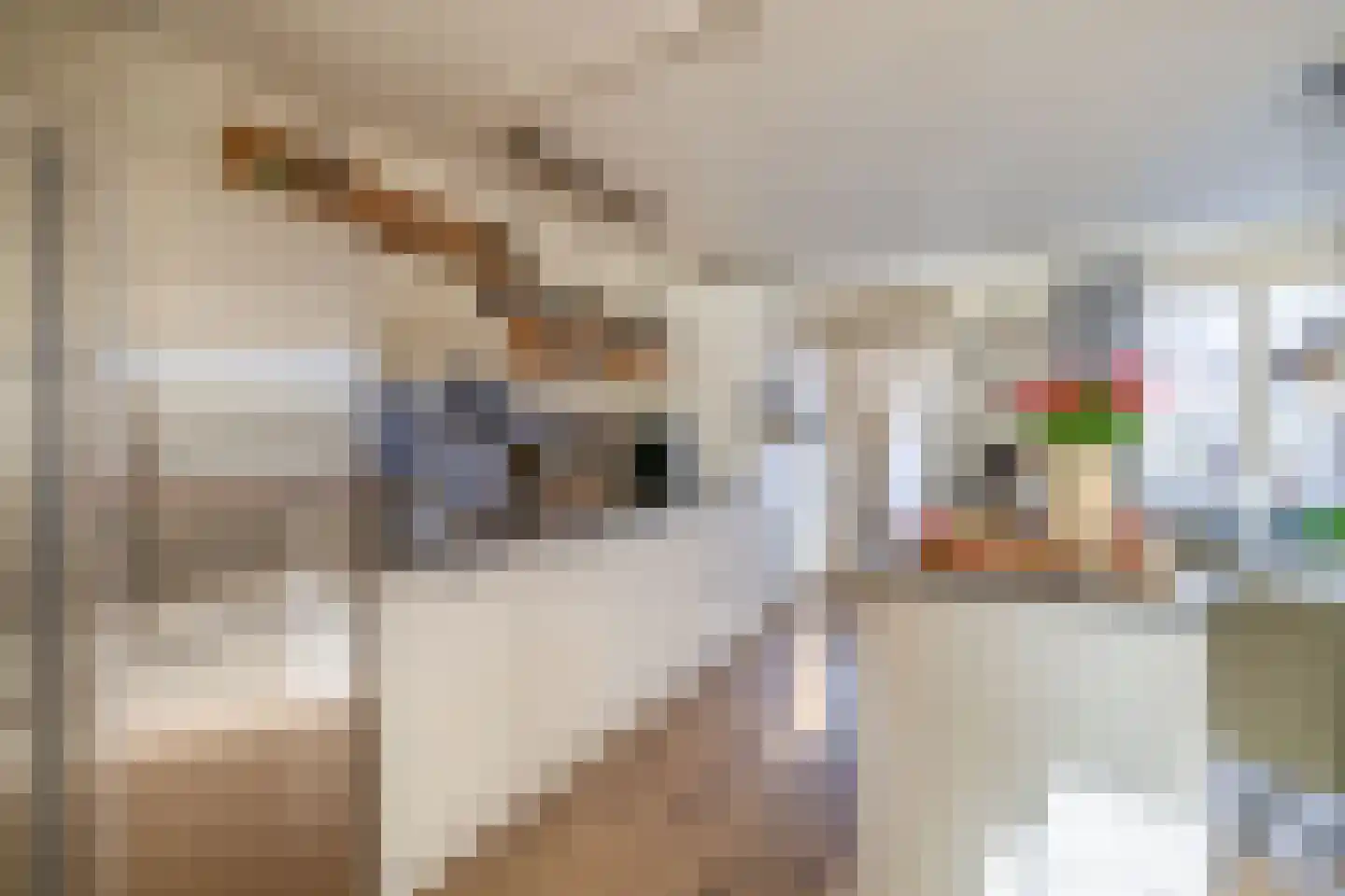 Julianastraat 144 Lisse thumbnail 17