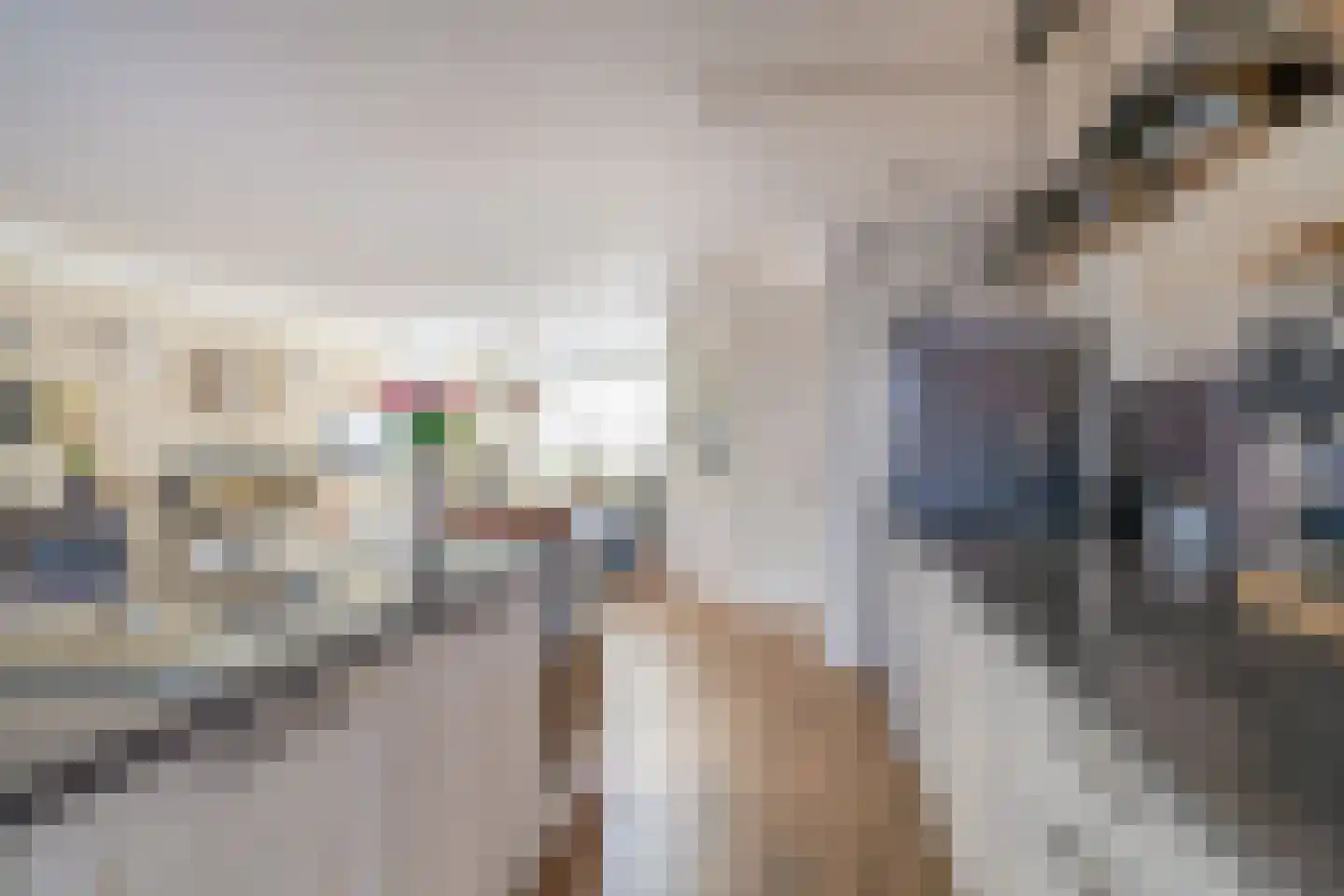 Julianastraat 144 Lisse thumbnail 18