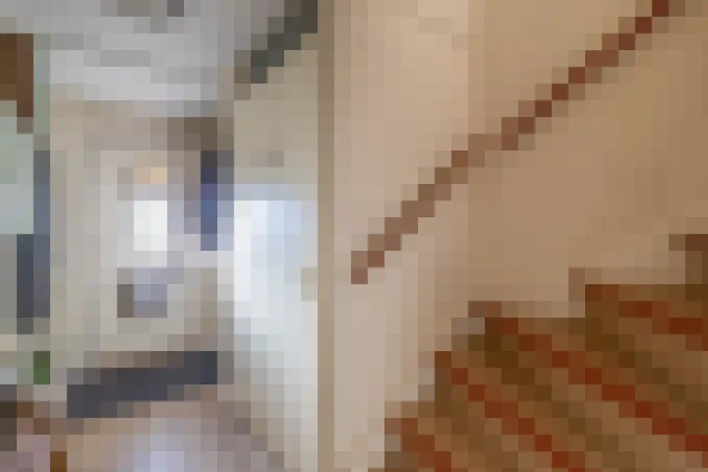 Julianastraat 144 Lisse thumbnail 5
