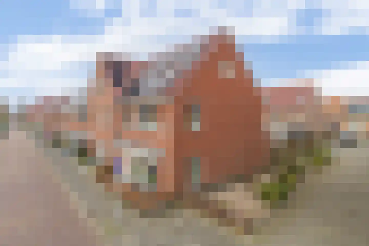Julianastraat 144 Lisse thumbnail 50