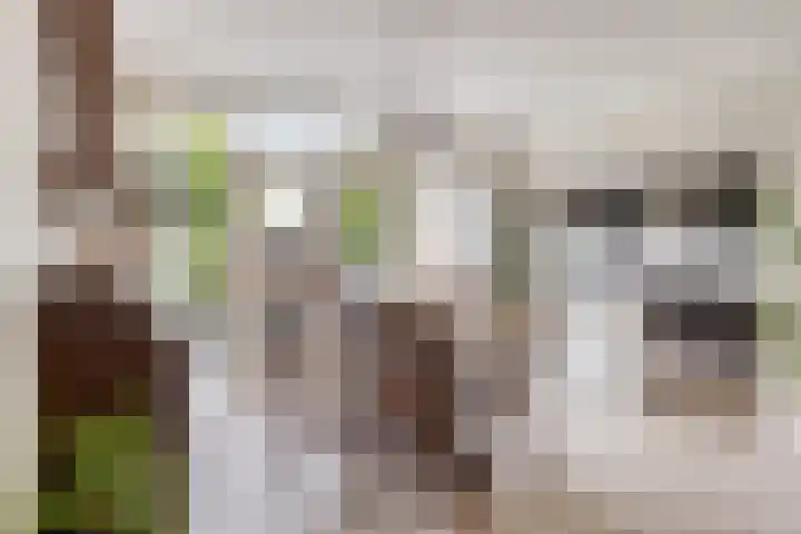 Julianastraat 147 Haaksbergen thumbnail 15