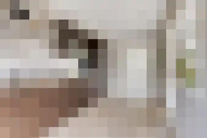 Julianastraat 147 Haaksbergen thumbnail 18