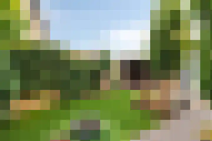 Julianastraat 147 Haaksbergen thumbnail 22